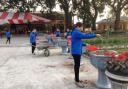 Trồng cây tết 2018.jpg - 