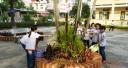 DSC00587.JPG - 