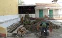 Anh 2 DSC04489.JPG - 